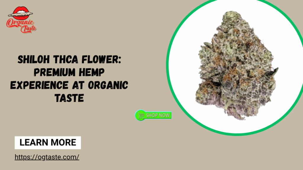 Shiloh THCA Flower