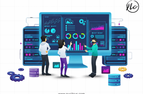 Custom Website Solutions