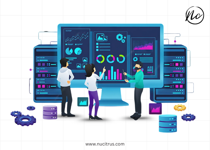 Custom Website Solutions