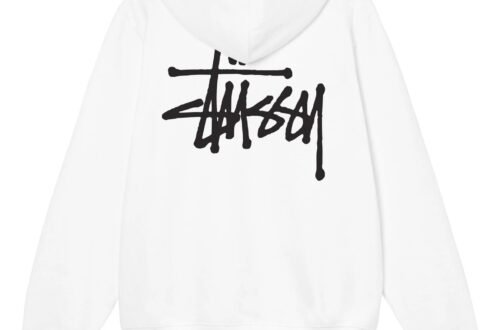 BASIC-STUSSY-HOODIE-1